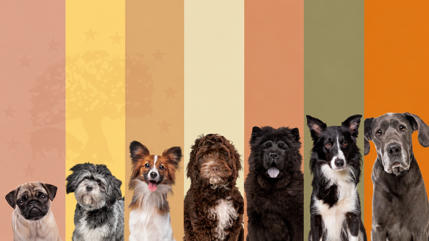 Siete razas de perros — Gama Euro Dog para todas las etapas y perfiles